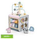 おもちゃ 知育 指あそび アクティビティボックス TYPR44030絵合わせ 木製玩具 歯車 型はめ 数字 かたち 動物 指先 ビーズループ ギフト プレゼント...