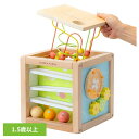 おもちゃ 子ども用おもちゃ プレゼント あそびたっぷり フルーツアクティビティボックス 木のおもちゃ お誕生日 プレゼント ギフト 知育玩具 安心 安全 出産祝...