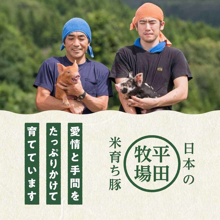 日本の米育ち三元豚炭火焼ハンバーグギフト BCS25-1平田牧場 平田牧場金華豚 金華...