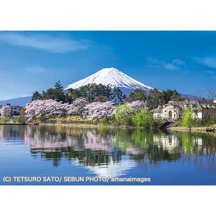 500ピース 富士日和 500-280富士山 世界遺産 桜 500ピース ジグソーパズル アップルワン
