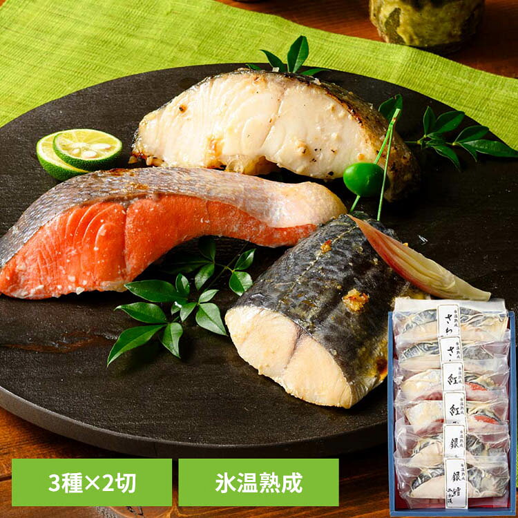 【山陰大松】氷温熟成 西京漬けギフトセット 6切「輝」 PSG-50氷温熟成 魚 おかず ...