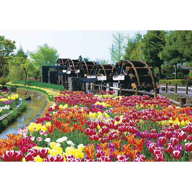 パズル 108P チューリップ ‐花薫る（富山） 01-2069ジグソーパズル 108ピース 風景 26×38cm 富山 チューリップ 花 春 ラージピース 初心者向け Yanoman やのまん