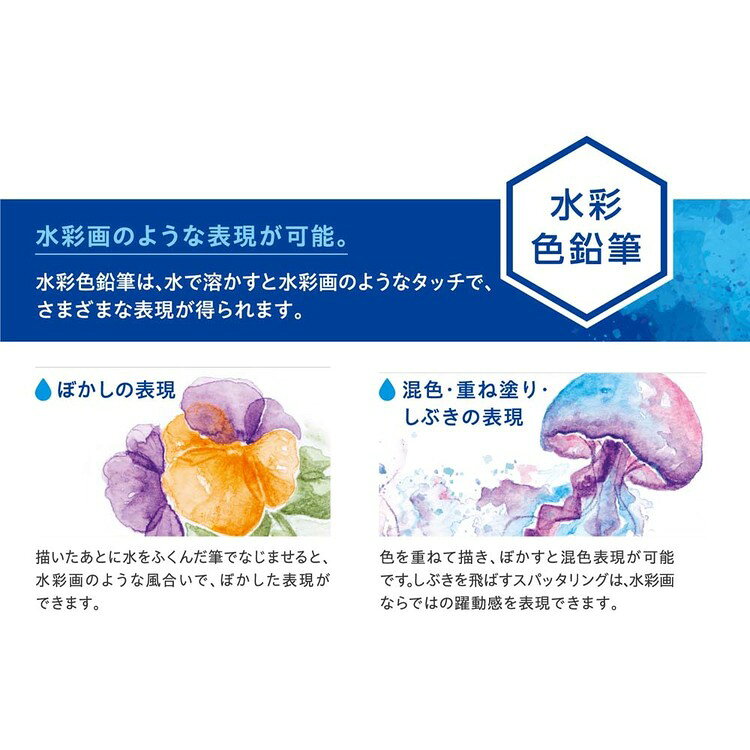 アートライン水彩色鉛筆　36色セット KCP-W36C/Hシヤチハタ アートライン 水彩色鉛筆 文房具 アートライン hobbytoy-10154466 And marche サンプル画像2