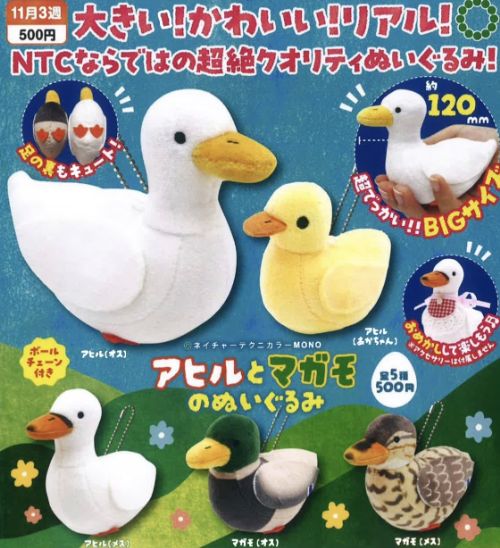【11月予約】NTC MONO アヒルとマガモのぬいぐるみ 全5種 コンプリートセット ガチャ 送料無料