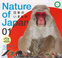 【即納品】NATURE OF JAPAN 日本のいきもの1 全10種 コンプリートセット ガチャ 送料無料