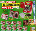 【即納品】ざ標本付! 昆虫百科事典マスコット VOL.1 カブトムシ編 全10種 コンプリートセット ガチャ 送料無料