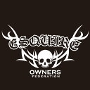 カッティングステッカー 340×570サイズ トヨタ(TOYOTA)エスクァイア ESQUIRE tribebone2 車 カー ステッカー アクセサリー シー...
