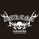 カッティングステッカー 340×570サイズ 日産(NISSAN)セレナ SERENA tribebone2 車 カー ステッカー アクセサリー シール ガラス...