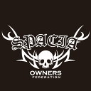 カッティングステッカー 340×570サイズ スズキ(SUZUKI)スペーシア SPACIA tribebone2 車 カー ステッカー アクセサリー シール ...