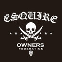 カッティングステッカー 350×400サイズ トヨタ(TOYOTA)エスクァイア ESQUIRE pirates 車 カー ステッカー アクセサリー シール ガ...