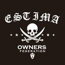 カッティングステッカー 350×400サイズ トヨタ(TOYOTA)エスティマ ESTIMA pirates 車 カー ステッカー アクセサリー シール ガラス...