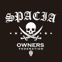 カッティングステッカー 350×400サイズ スズキ(SUZUKI)スペーシア SPACIA pirates 車 カー ステッカー アクセサリー シール ガラス...
