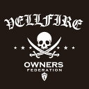 カッティングステッカー 350×400サイズ トヨタ(TOYOTA)ヴェルファイア VELLFIRE pirates 車 カー ステッカー アクセサリー シール...