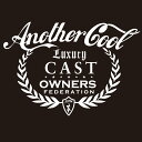 カッティングステッカー 390×560サイズ ダイハツ(DAIHATSU)CAST キャスト anothercool 車 カー ステッカー かっこいい おしゃれ...