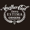 カッティングステッカー 270×380サイズ トヨタ(TOYOTA)エスティマ ESTIMA anothercool 車 カー ステッカー アクセサリー シール...