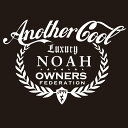 カッティングステッカー 270×380サイズ トヨタ(TOYOTA)ノア NOAH anothercool 車 カー ステッカー アクセサリー シール ガラス[...
