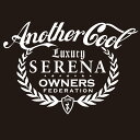 カッティングステッカー 270×380サイズ 日産(NISSAN)セレナ SERENA anothercool 車 カー ステッカー アクセサリー シール ガラ...