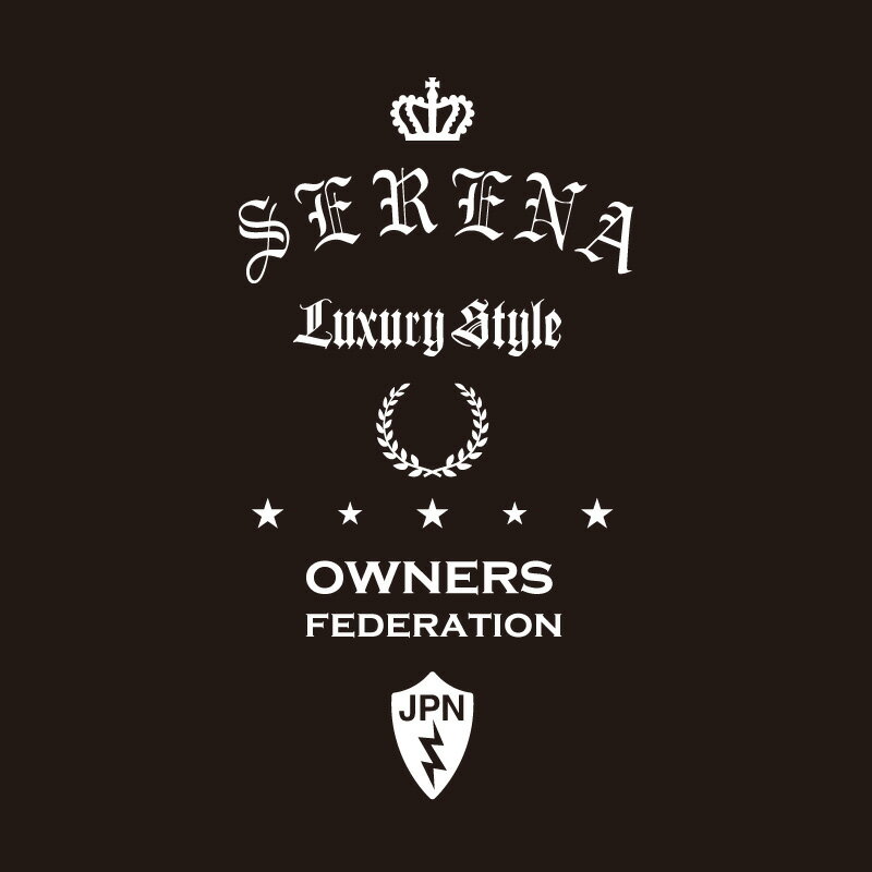 åƥ󥰥ƥå 390260 NISSAN˥ SERENA dressup   ƥå ꡼  饹[]