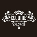 カッティングステッカー 350×610サイズ トヨタ(TOYOTA)エスクァイア ESQUIRE cardskull 車 カー ステッカー アクセサリー シール...