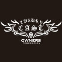 カッティングステッカー 370×800サイズ ダイハツ(DAIHATSU)CAST キャスト flyhigh 車 カー ステッカー かっこいい おしゃれ アクセ...