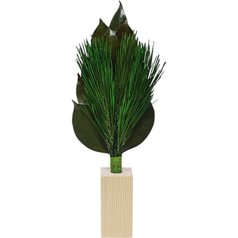 A&K 荒神松M 榊立てセット ST-006 プリザーブド加工 [▲][AS]