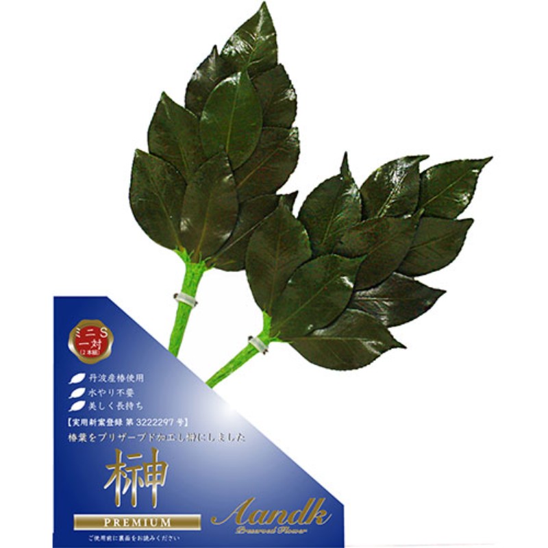 A&K プレミアム榊 ミニS SKK-009 プリザーブド加工 [▲][AS]