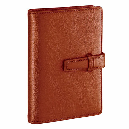 レイメイ藤井 ダヴィンチ システム手帳 スタンダード (mini5) 11mm ブラウン DPM3037C [▲][AS]