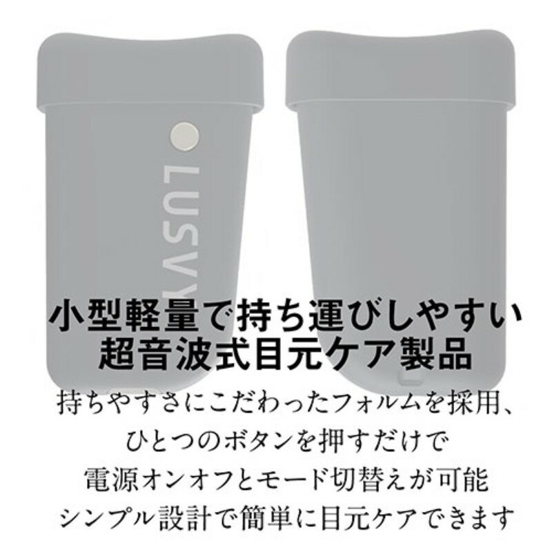 フェリセラプロフェッショナル 2wayヘアアイロンケース FEP1601 ブラック【メール便 送料無料】