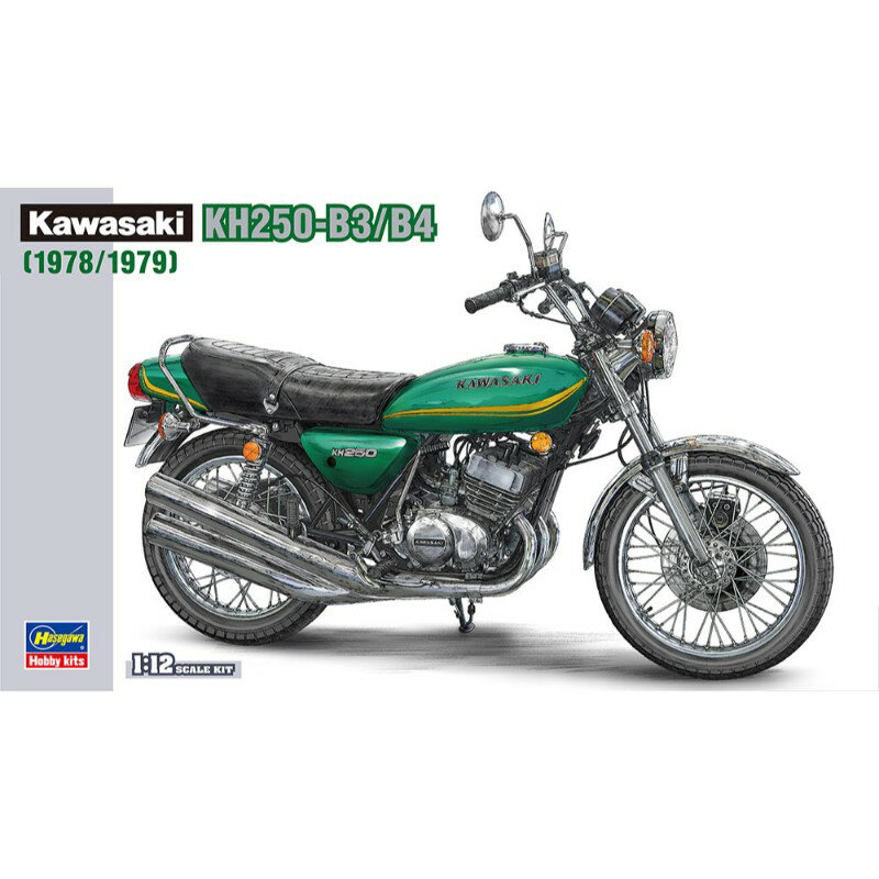 【ハセガワ】 カワサキ KH250-B3/B4 プラモデル バイク ▲ ホ F