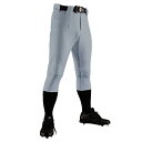 【DESCENTE/デサント】野球 D-COMFIT PANTS PRO(ショートフィット) ユニフォームパンツ / DB-1234P / KSLV (Kシルバ...
