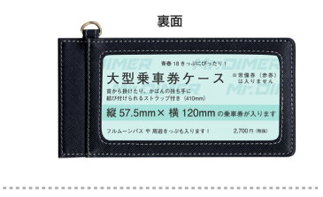 【お買い物マラソン限定50円OFFクーポン】[◆]JR東日本 415系1500番台 常磐線【大型乗車券ケース:ts1173sa-ups02】鉄道 電車 鉄道ファン グッズ パスケースミスターダイマー　Mr.DIMER