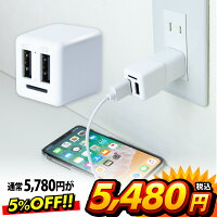 iphoneカードリーダー バックアップ iphone 充電器 バックアップ用カードリーダー microSD カードリーダー microSDカードリーダー iphone iPhone12 Pro Max mini iPhone 12 SE2 11 XS MAX X XR iPhone8 ipad Air mini