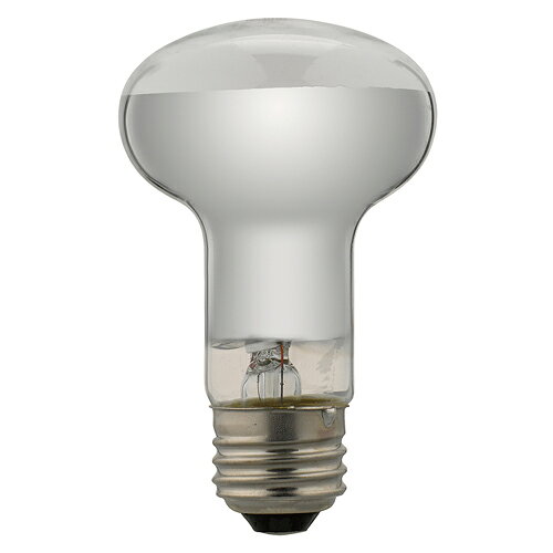 YAZAWA Ĺ̿ŵ RF100110V38WL  [][AS]