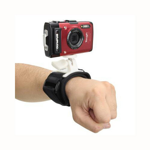 SEAGULL-INN ���㡼����å�M �֥�å� E-6564 �����ݡ��� ����饢�������꡼[��][AS]