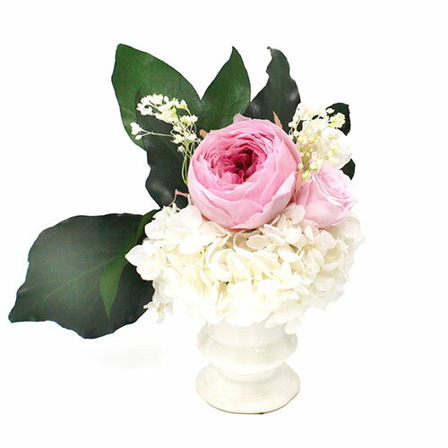 A&K ギフトシリーズ 贈り物に最適なプリザーブドフラワー 杏-Ann- AKM-003 [▲][AS]