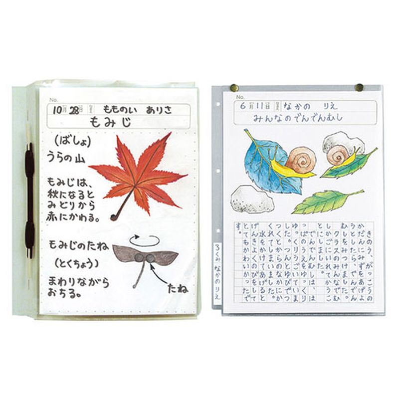 ARTEC 透明掲示ホルダー A4 ATC2606 [▲][AS]