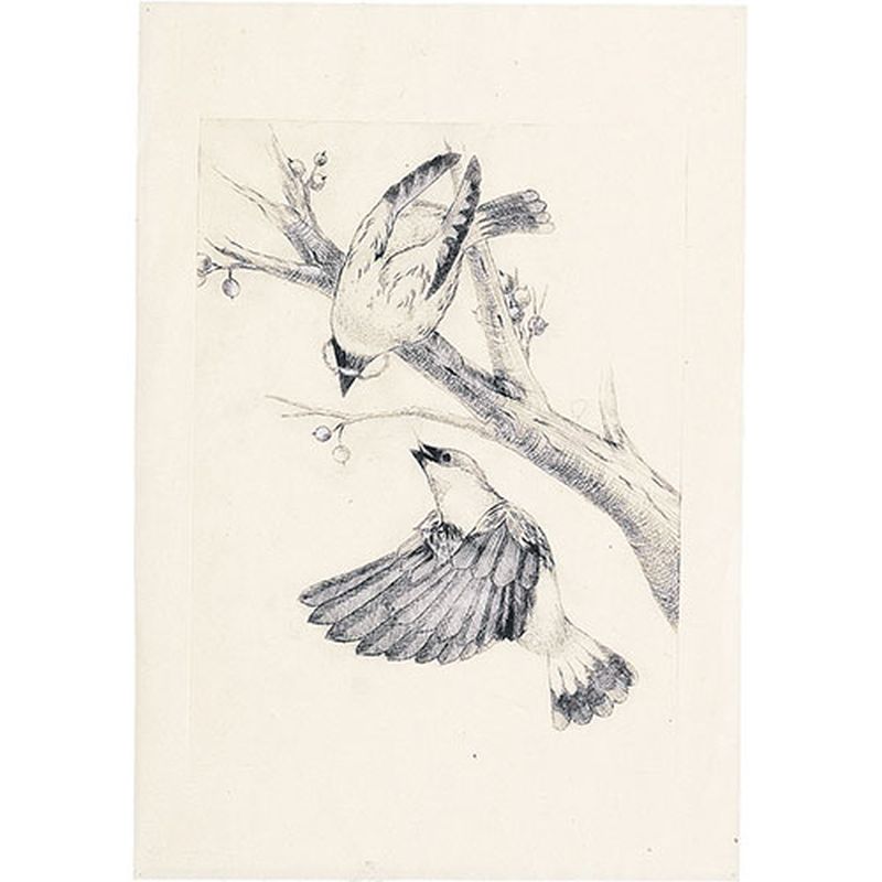 【10個セット】 ARTEC マットPP板 大(480x360x0.5mm) ATC20502X10 [▲][AS]