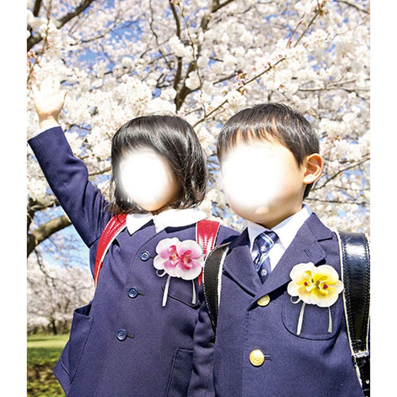 ��20�ĥ��åȡ� ARTEC ���������� ��ĳ�� ������- ATC85053X20 [��][AS]