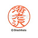 【シャチハタ】ブラック11 既製 海老沢 名前 ネーム印 印鑑 はんこ スタンプ しゃちはた XL-11 0443 エビサワ シャチハタ 名前 ネーム印 印鑑 ...