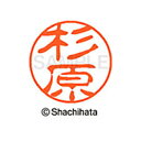【シャチハタ】ブラック11 既製 杉原 名前 ネーム印 印鑑 はんこ スタンプ しゃちはた XL-11 1324 スギハラ シャチハタ 名前 ネーム印 印鑑 は...