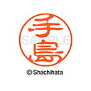 【シャチハタ】ブラック11 既製 手島 名前 ネーム印 印鑑 はんこ スタンプ しゃちはた XL-11 1481 テシマ シャチハタ 名前 ネーム印 印鑑 はん...