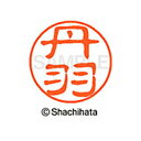 【シャチハタ】ブラック11 既製 丹羽 名前 ネーム印 印鑑 はんこ スタンプ しゃちはた XL-11 1600 ニワ シャチハタ 名前 ネーム印 印鑑 はんこ...