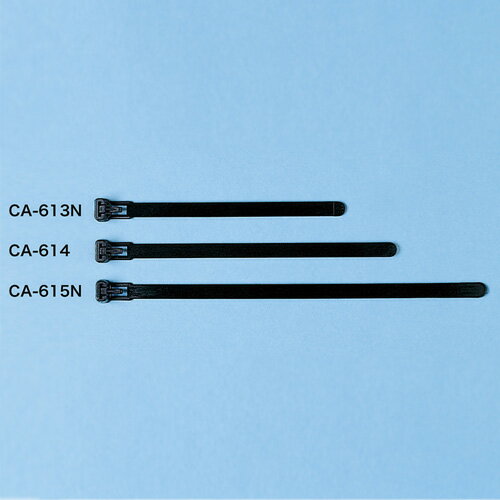 ڥ掠ץ饤ۥ֥륿(磻) 10[][SW]