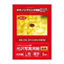 キヤノン対応 写真用紙 光沢写真用紙 光沢 0.29mm L判 5枚入り syasin【RCP】10P01Sep13