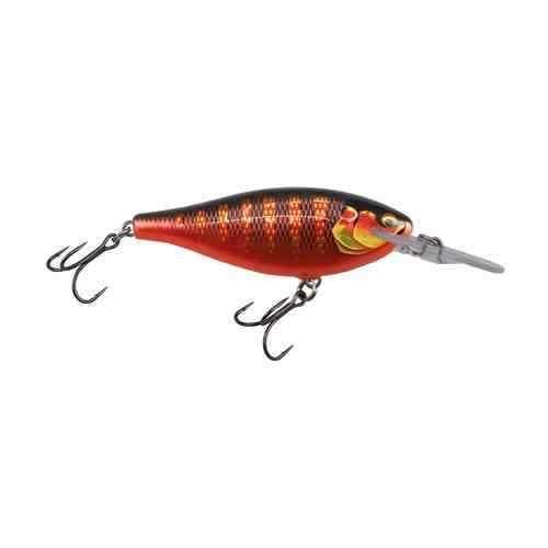Rakuten - RAPALA ラパラ シャッドラップエリート7.5cm 12g SRE75-GDTZ ギルディッドトワイライトゾーン
