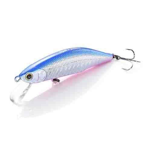 Rakuten - JACKSON ジャクソン メテオーラ70 SBP ブルピン