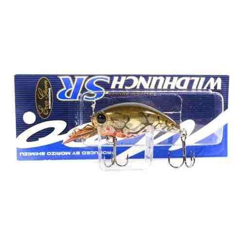 EVERGREEN エバーグリーン ワイルドハンチSR #81 ブリーディングブラウンクロー