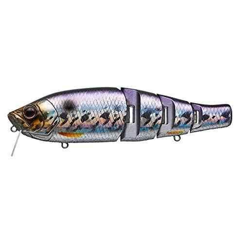 EVERGREEN エバーグリーン ロイヤルフラッシュ Jr. #209 ホログラムワカサギ