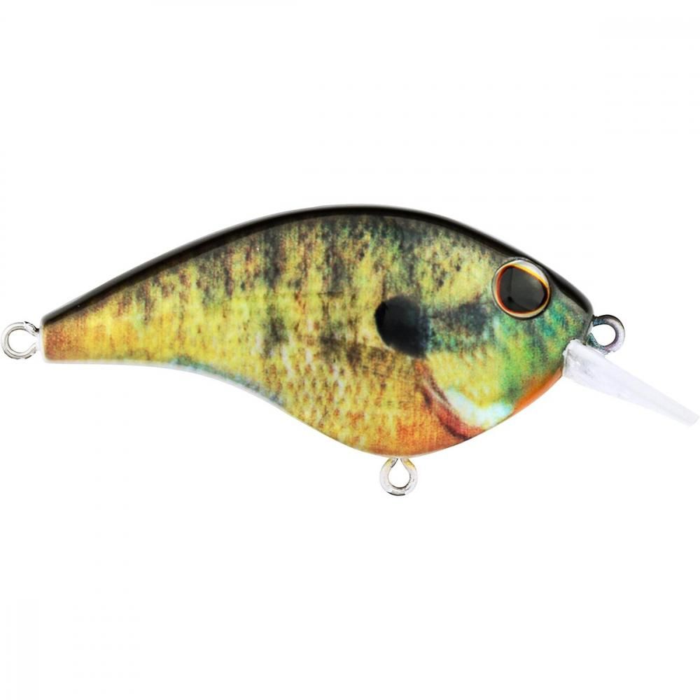 Rakuten - BERKLEY バークレイ フリットサイド5JR BHBFS5JR-HDBLG HDブルーギル