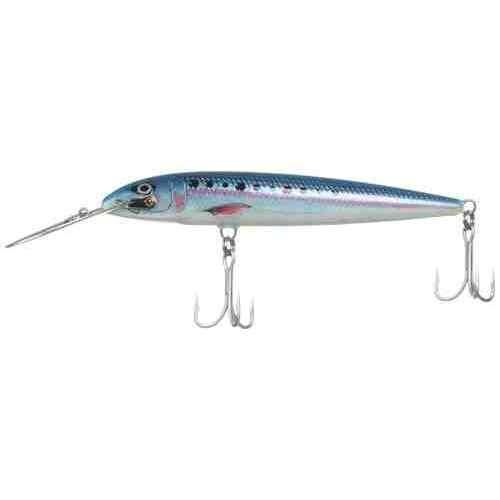 RAPALA ラパラ カウントダウンマグナム 18cm 70g CD18MAG BSRD